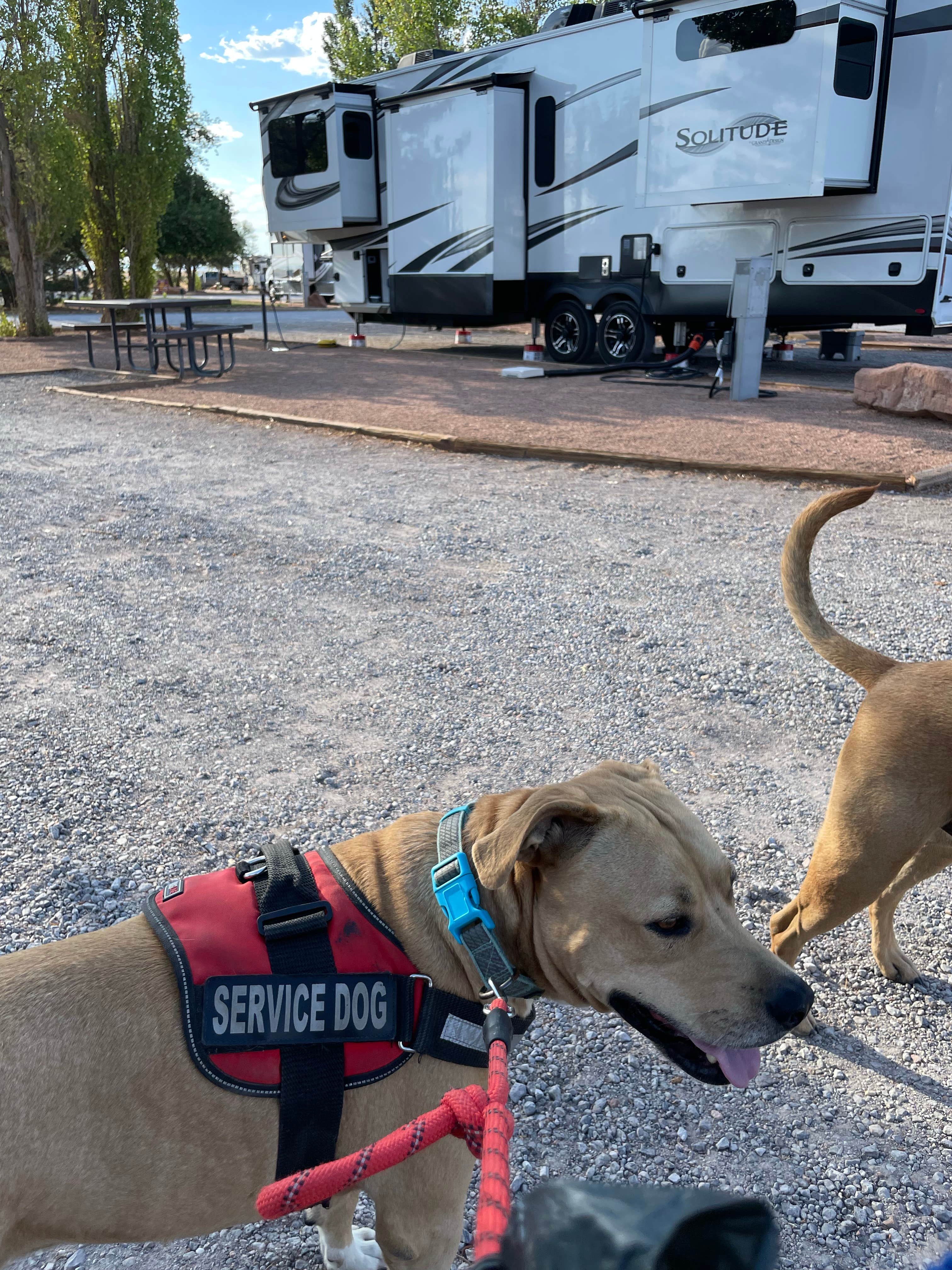 Lara O.'s photo of camping with pets at Meteor Crater RV Park near Winslow, AZ