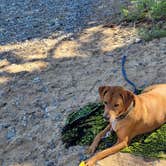 Review photo of Fallen Leaf Campground - South Lake Tahoe by Michael K., July 12, 2021