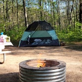 Review photo of Newaygo State Park Campground by Chris C., July 12, 2021