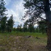 Review photo of Utah Forest Road 13 Dispersed Camping by Kate R., July 12, 2021