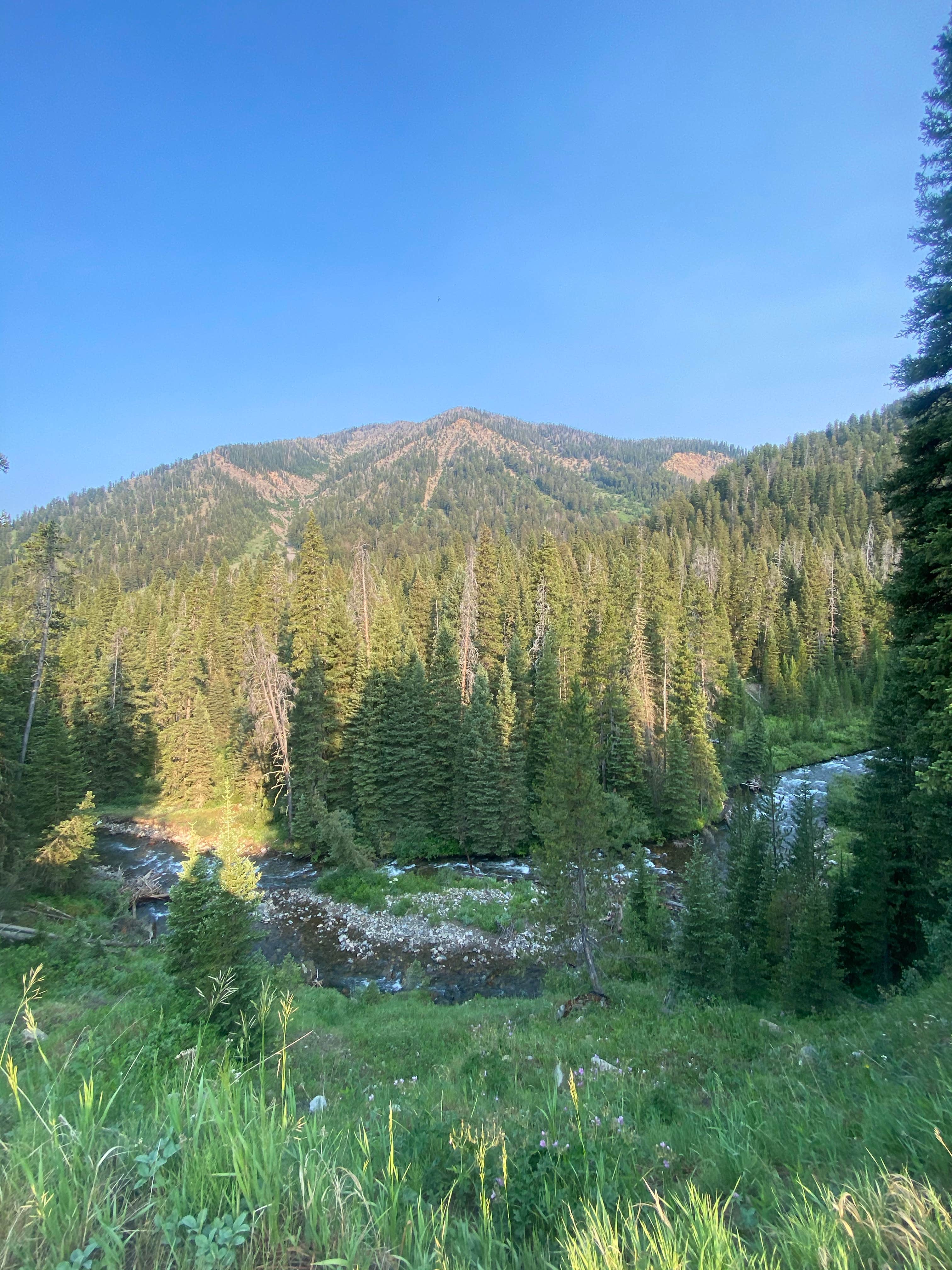 Beaver Creek Road The Dyrt