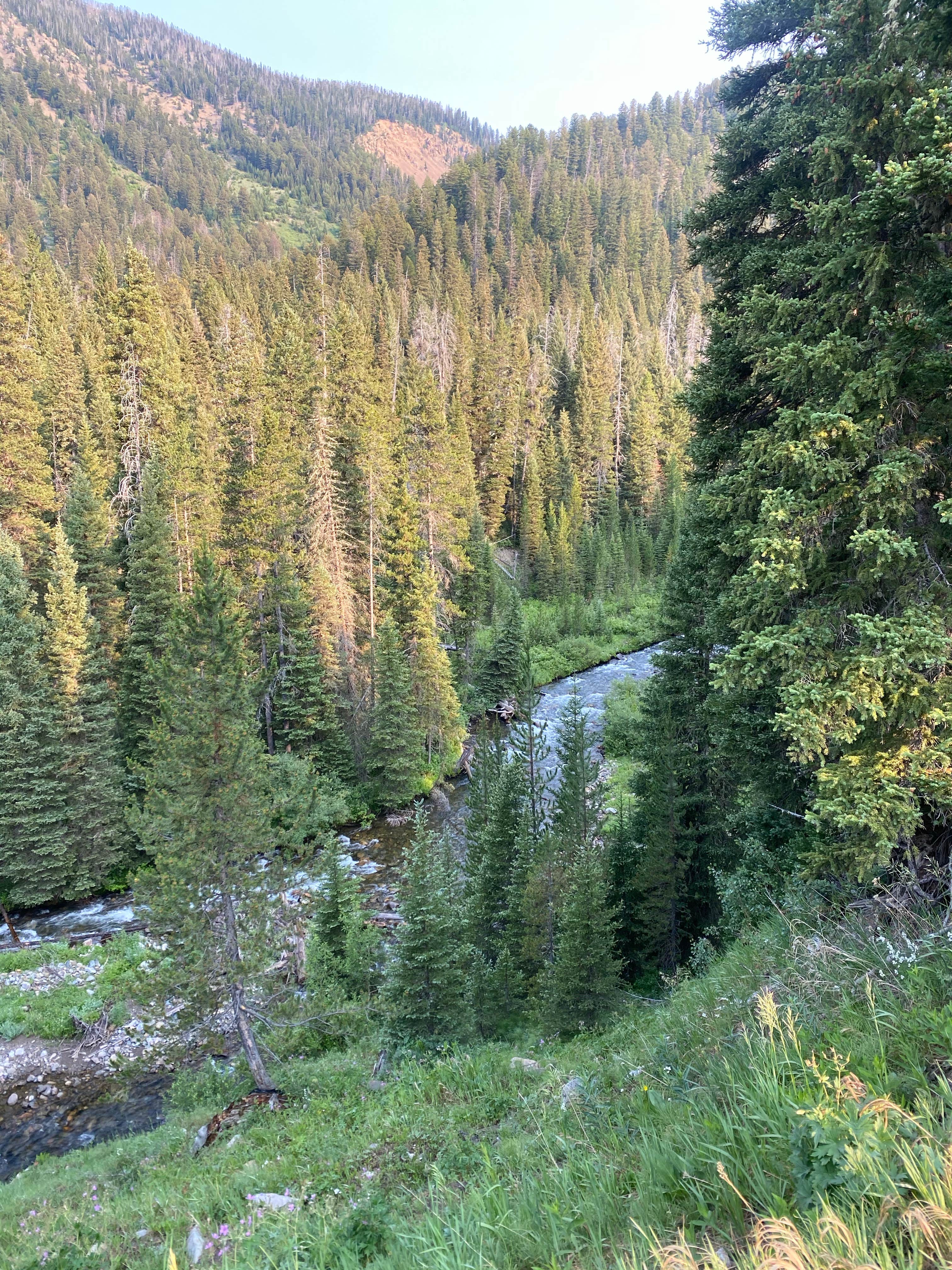 Beaver Creek Road The Dyrt