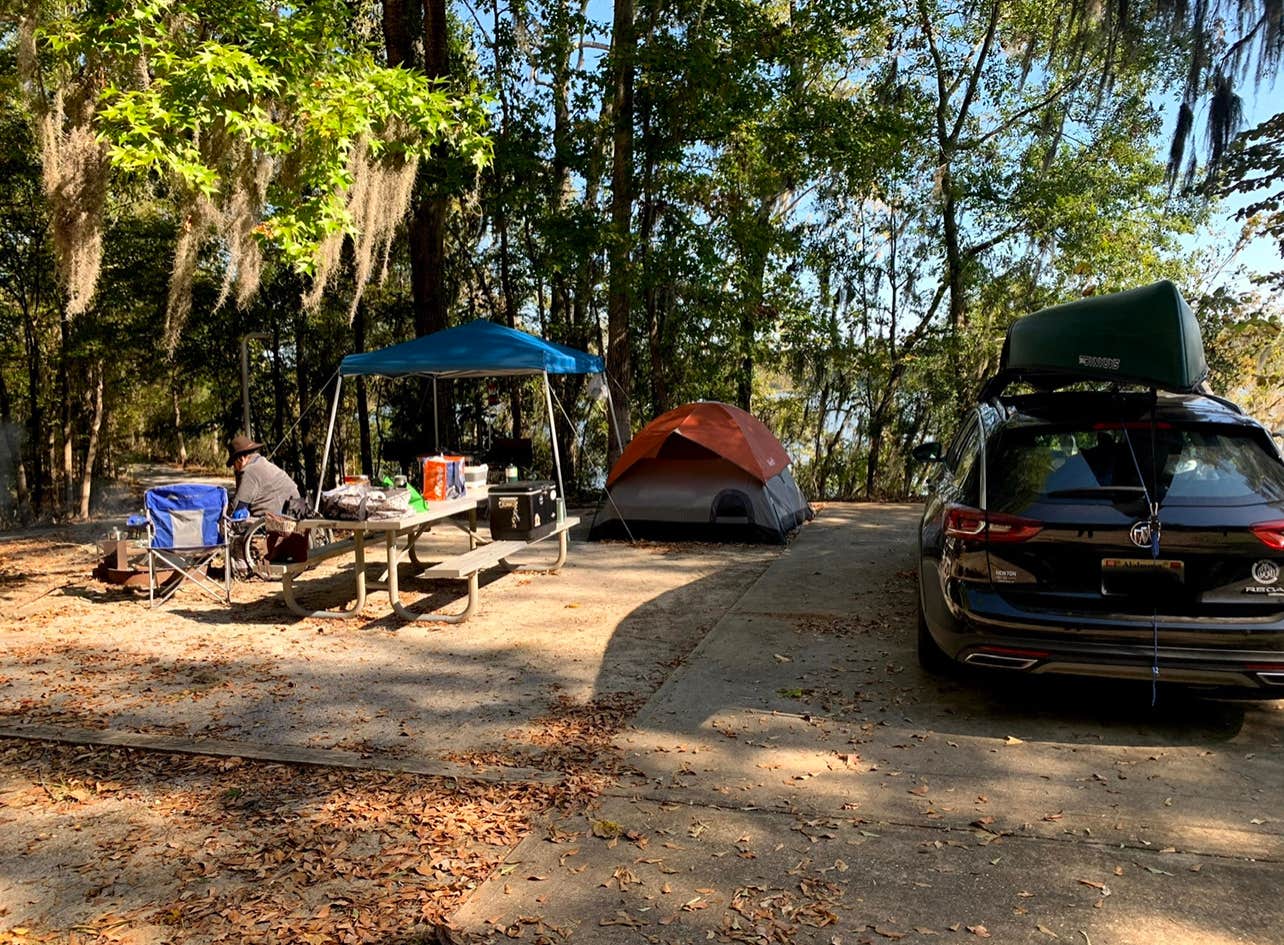 Dana B.'s photo at Chilatchee Creek near Marion Junction, AL