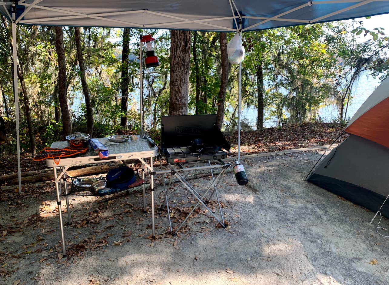 Dana B.'s photo at COE Alabama River Lakes Chilatchee Creek Campground near Monroeville, AL
