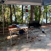 Review photo of COE Alabama River Lakes Chilatchee Creek Campground by Dana B., July 12, 2021