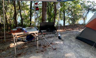Dana B.'s photo at COE Alabama River Lakes Chilatchee Creek Campground near Monroeville, AL