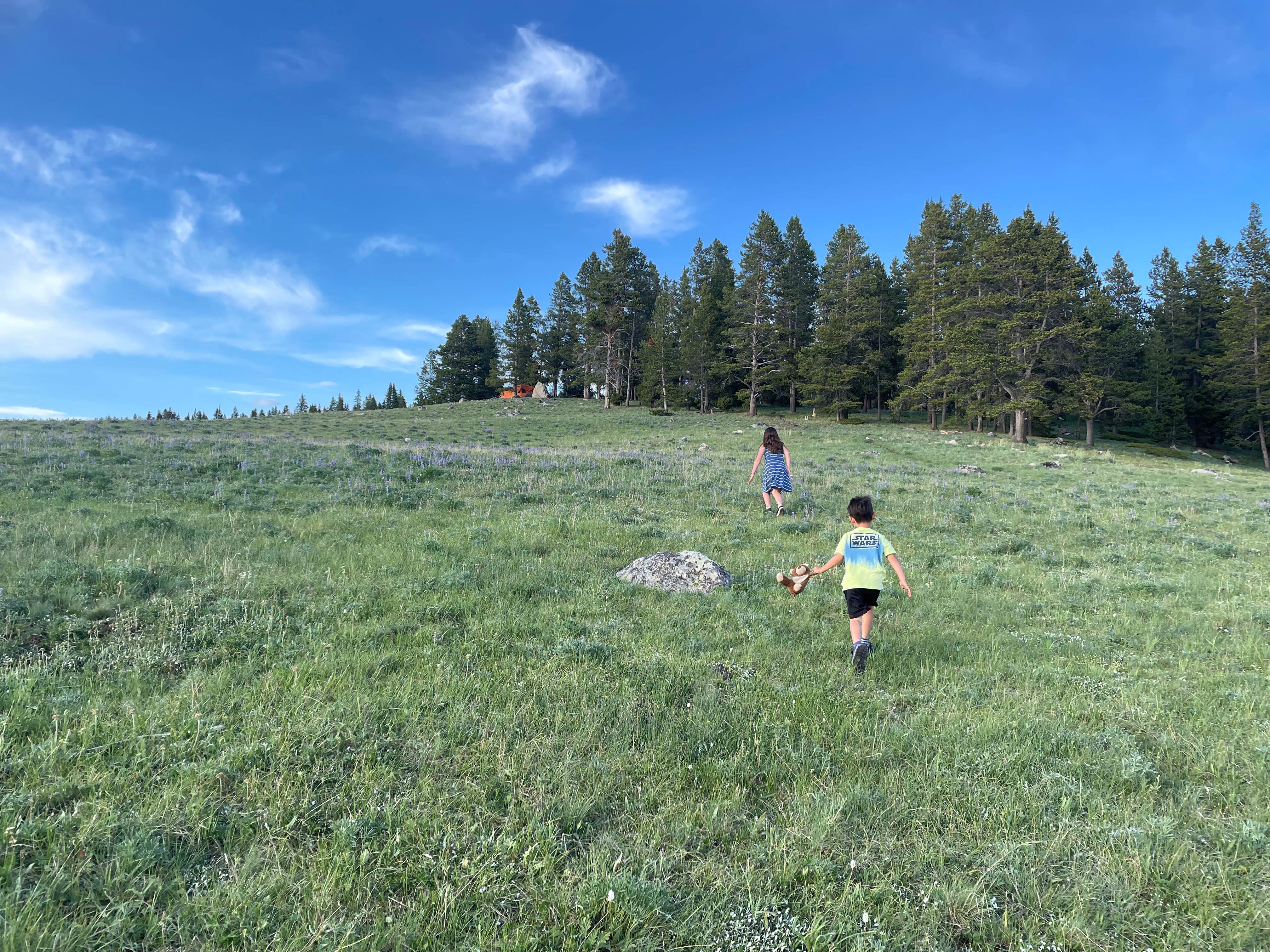 Camper-submitted photo at Lakeview Campground near Hyattville, WY