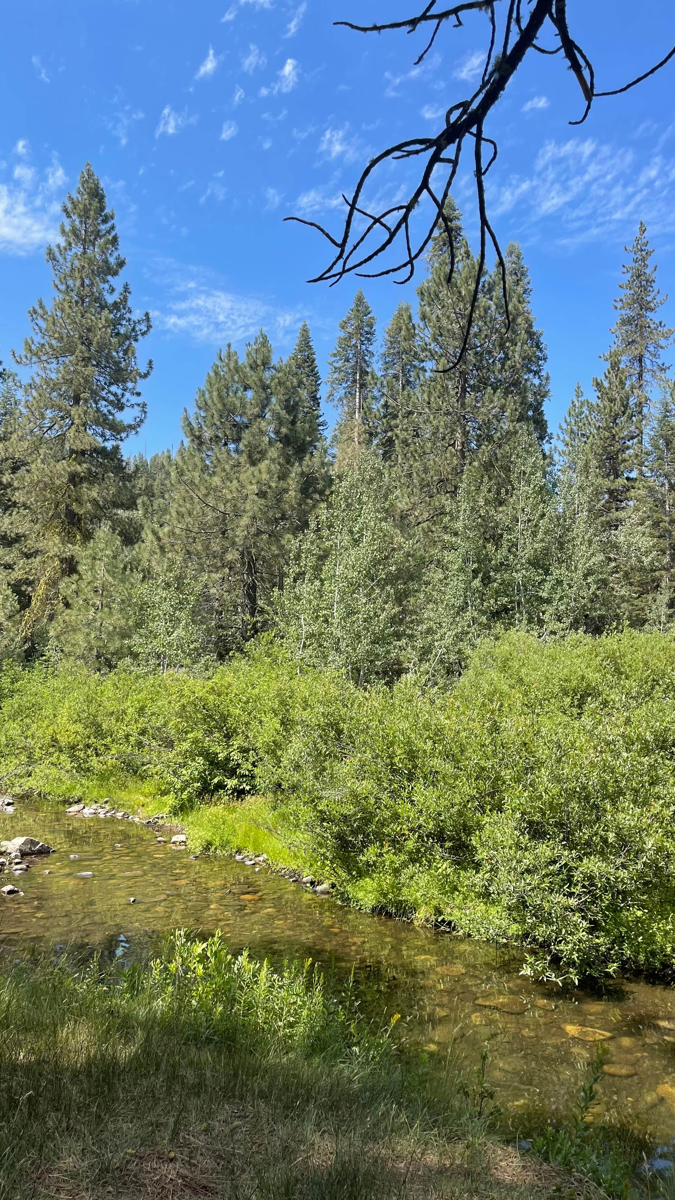 Camper-submitted photo at Big Sandy Campground near Clovis, CA
