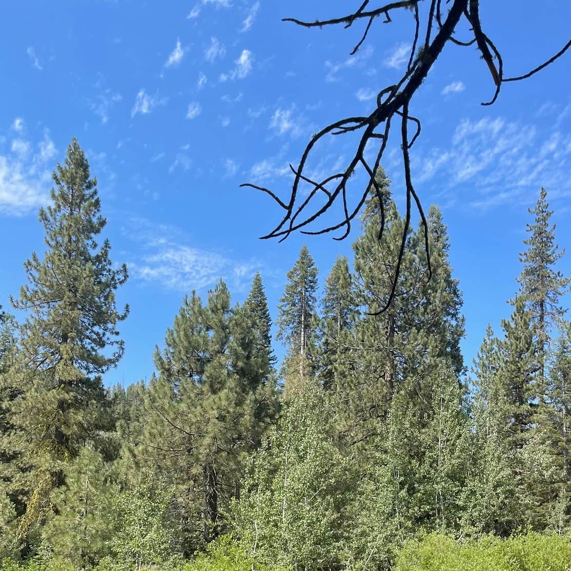 Big Sandy Campground | Fish Camp, California