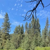 Review photo of Big Sandy Campground by Kaye P., July 12, 2021