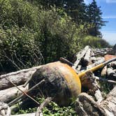 Review photo of Second Beach — Olympic National Park by Michael W., June 14, 2018