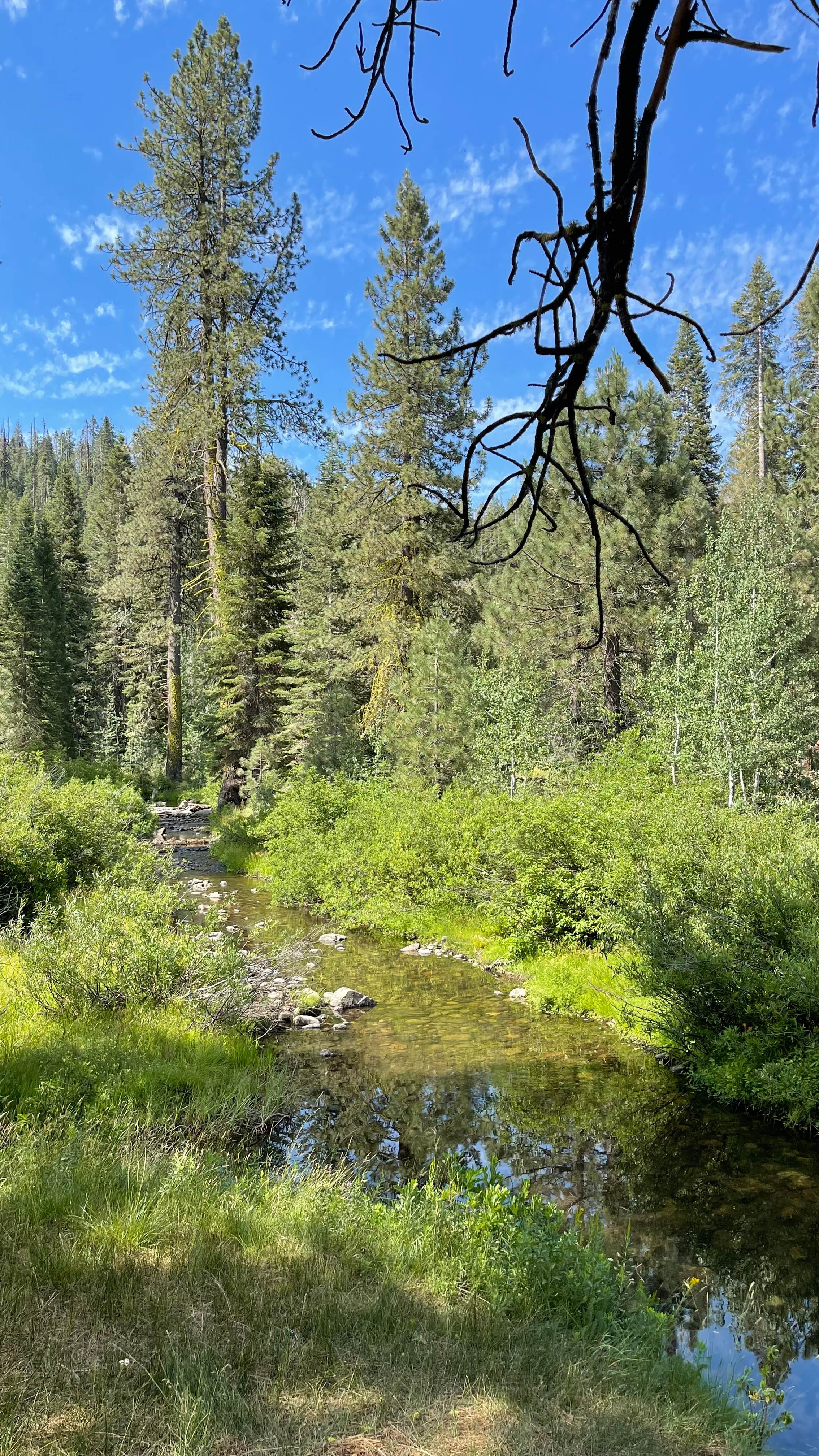Camper-submitted photo at Big Sandy Campground near Clovis, CA