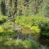 Review photo of Big Sandy Campground by Kaye P., July 12, 2021