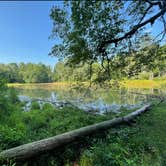 Review photo of Hard Labor Creek State Park Campground by Dana B., July 12, 2021