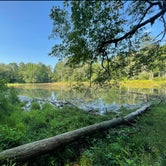 Review photo of Hard Labor Creek State Park Campground by Dana B., July 12, 2021
