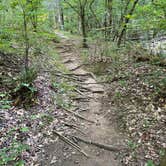 Review photo of Hard Labor Creek State Park Campground by Dana B., July 12, 2021