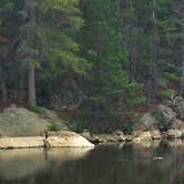 Review photo of East Portal Campground at Estes Park by Julia B., July 18, 2016