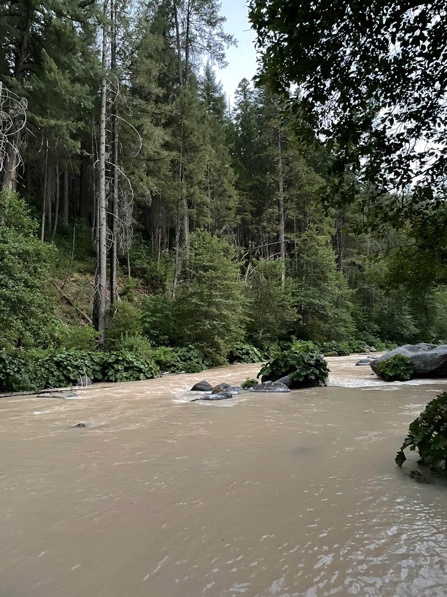 Camper-submitted photo at Ah-Di-Na Campground near Weed, CA