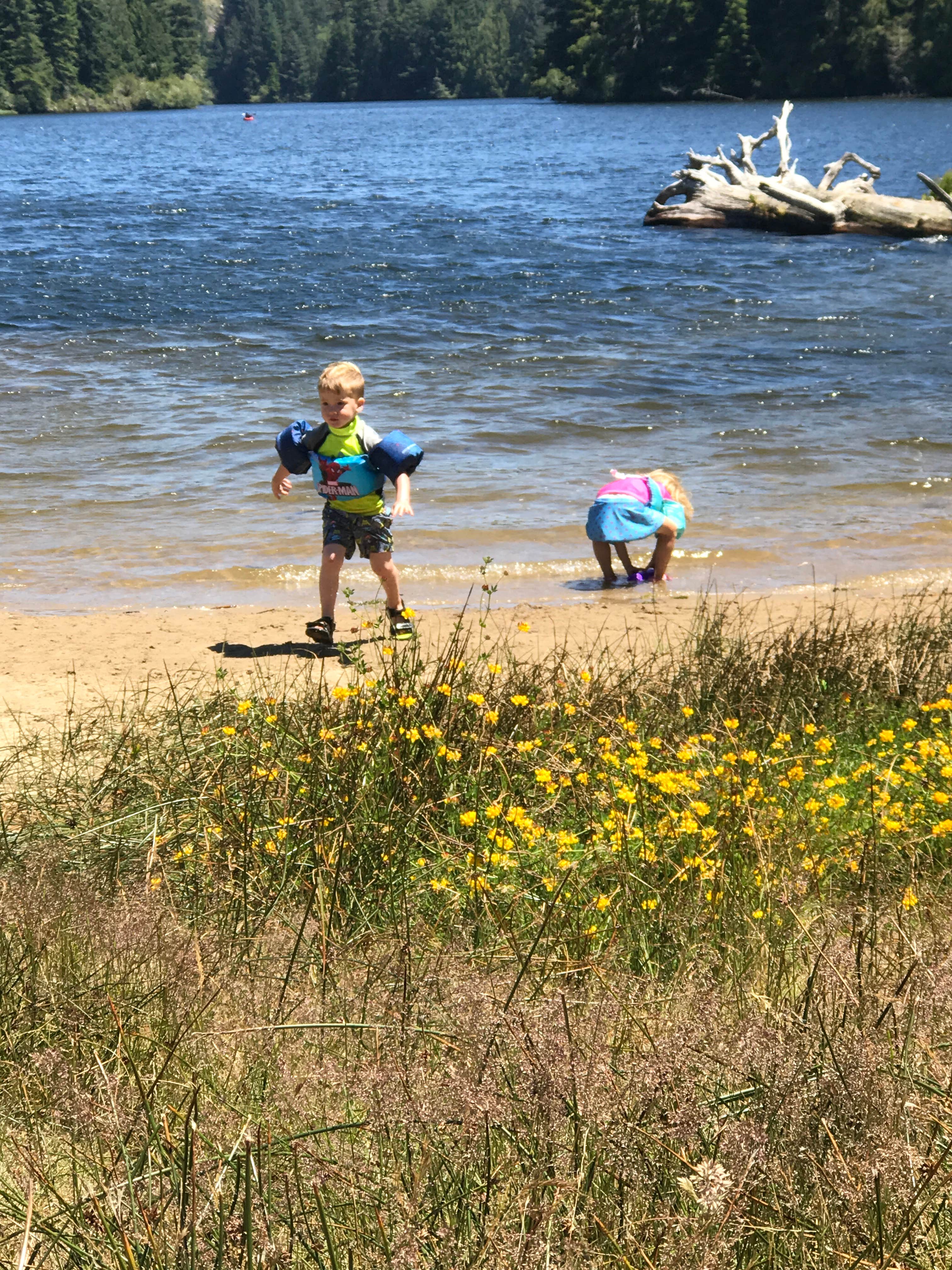 Camper-submitted photo at William M. Tugman State Park Campground near Coos Bay, OR