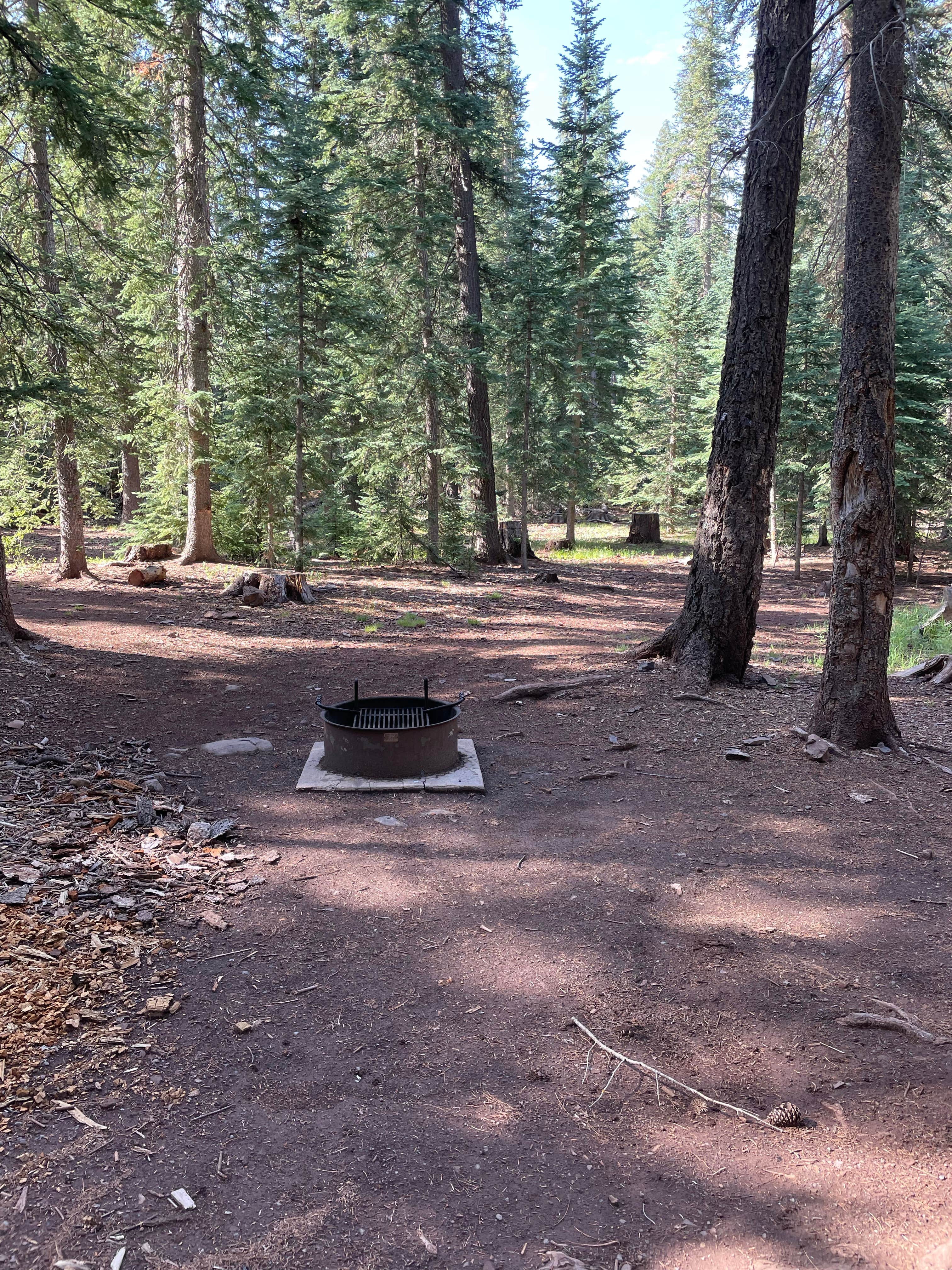 Camping near Aspen Campground: Grayling, Greer, Arizona