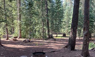 Camping near Rolfe C. Hoyer Campground: Grayling, Greer, Arizona