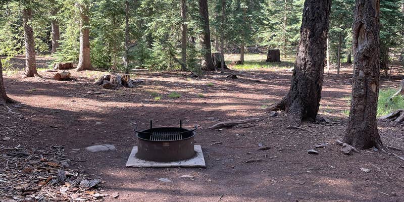 Camper submitted image from Grayling