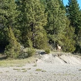 Review photo of Court Sheriff Campground by Kristen S., July 12, 2021