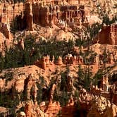 Review photo of North Campground — Bryce Canyon National Park by Cheryl D., July 12, 2021