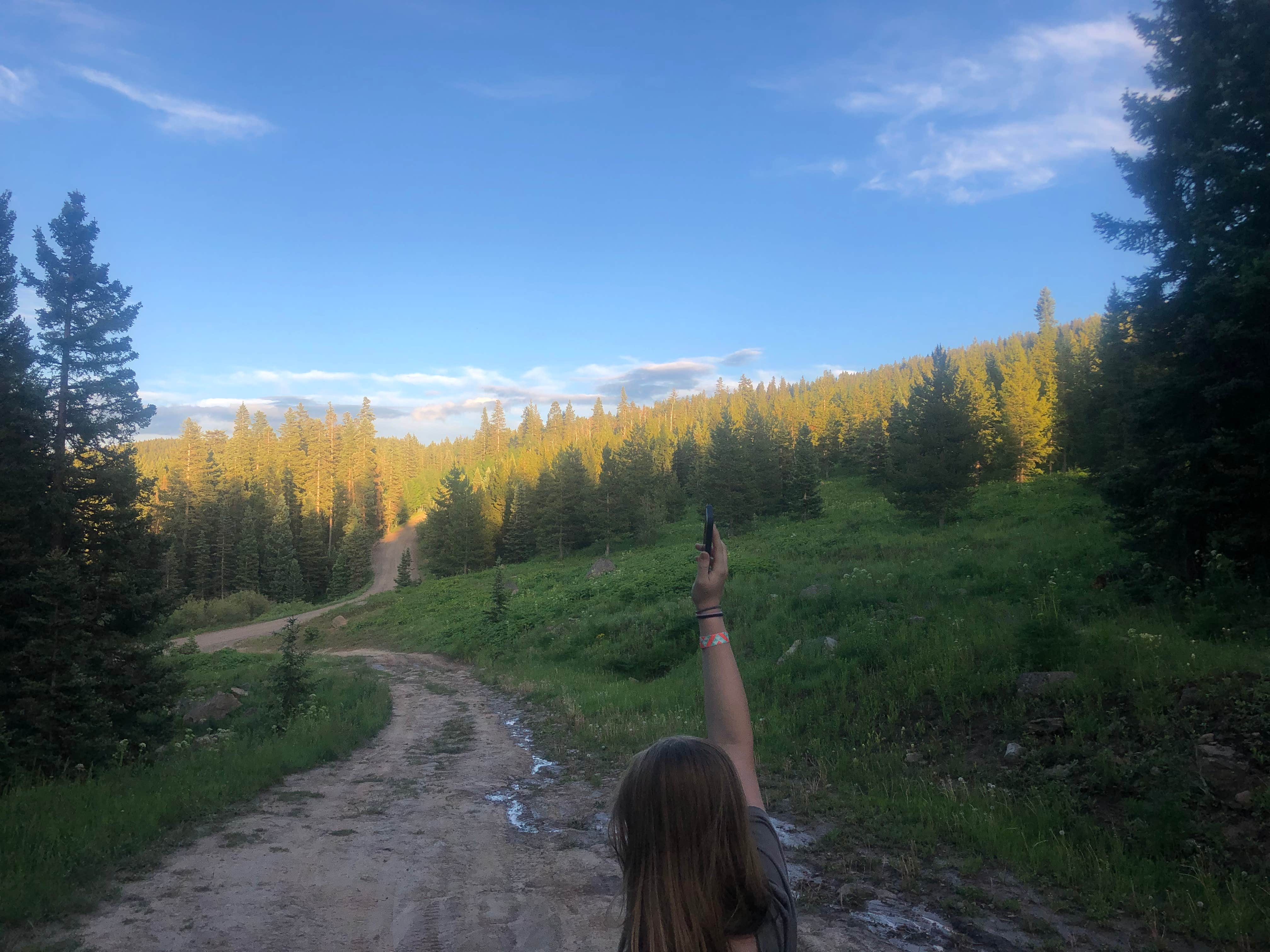Four Mile Road Dispersed | The Dyrt