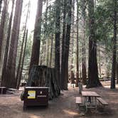 Review photo of Atwell Mill Campground — Sequoia National Park by Emily U., June 14, 2018