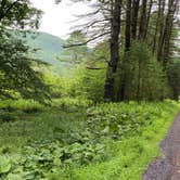 Review photo of Sinnemahoning State Park Campground by Shayna , July 12, 2021