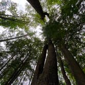 Review photo of Sinnemahoning State Park Campground by Shayna , July 12, 2021