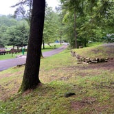 Review photo of Sinnemahoning State Park Campground by Shayna , July 12, 2021