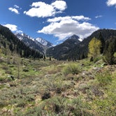 Review photo of Atwell Mill Campground — Sequoia National Park by Emily U., June 14, 2018
