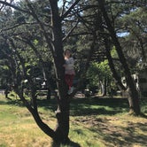 Review photo of Jessie M. Honeyman Memorial State Park Campground by Josh K., June 14, 2018