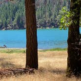 Review photo of Bailey Canyon Campground by Cate B., July 12, 2021