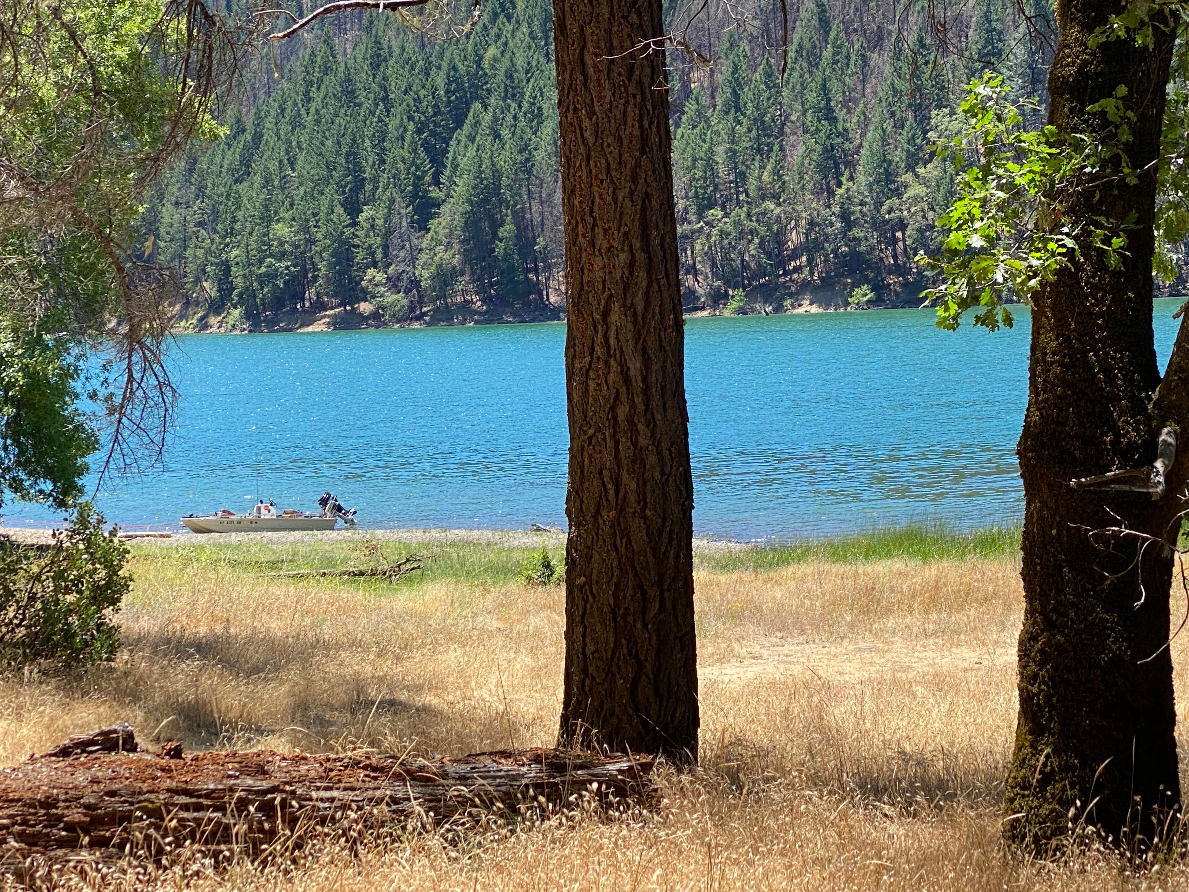 Camper submitted image from Bailey Canyon Campground - 2