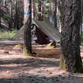 Review photo of Bailey Canyon Campground by Cate B., July 12, 2021