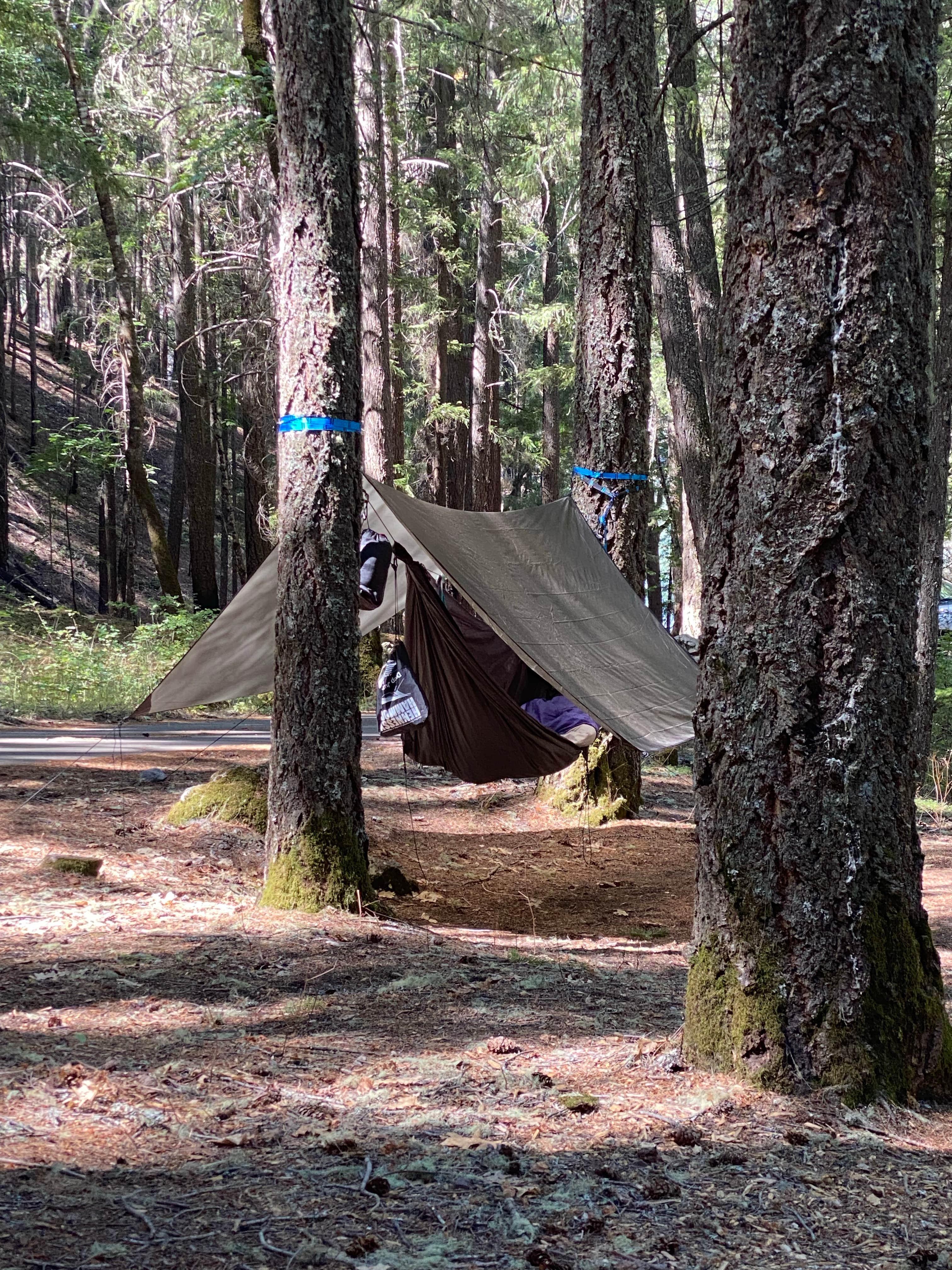 Camper submitted image from Bailey Canyon Campground - 2