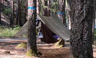 Cate B.'s photo at Bailey Canyon Campground near Platina, CA