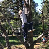 Review photo of Jessie M. Honeyman Memorial State Park Campground by Josh K., June 14, 2018