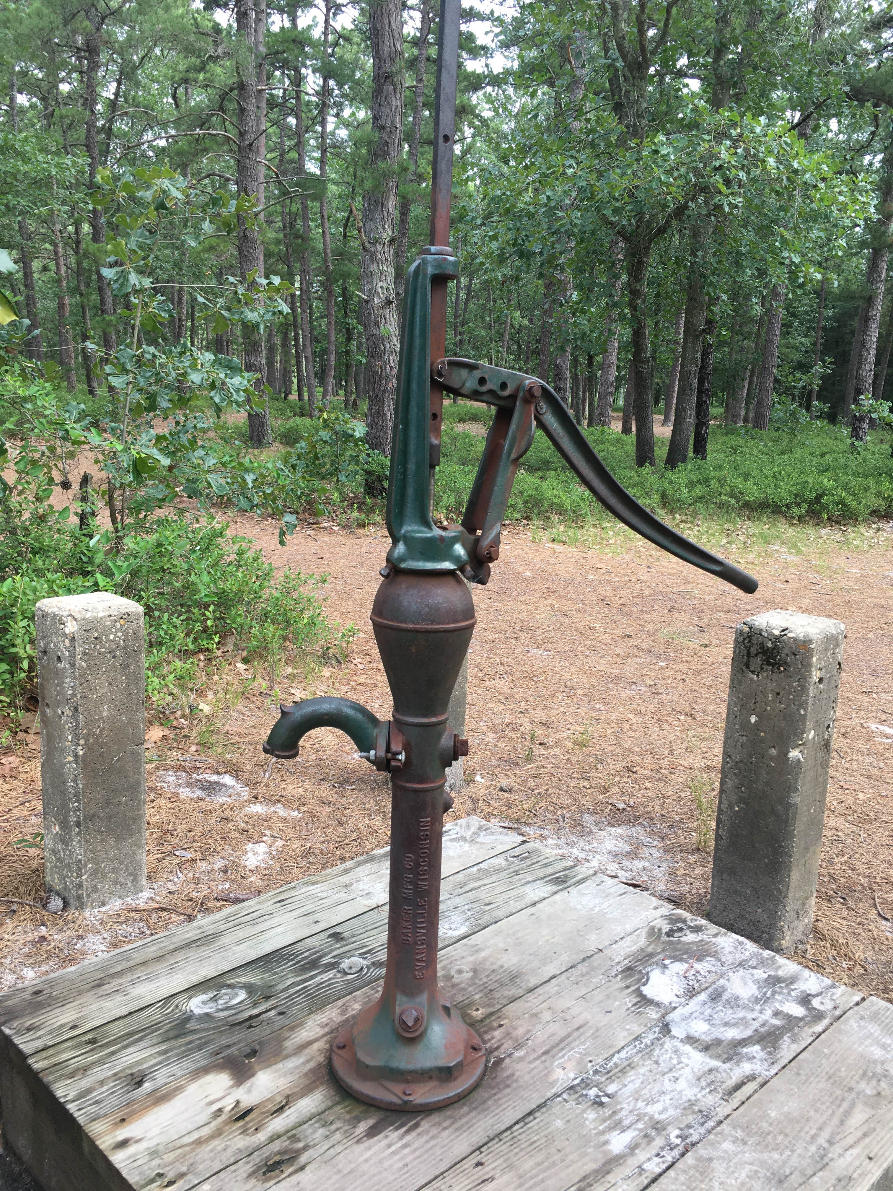Camper submitted image from Batona — Wharton State Forest - 5