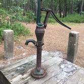 Review photo of Batona — Wharton State Forest by meghan G., July 12, 2021