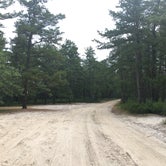 Review photo of Batona — Wharton State Forest by meghan G., July 12, 2021