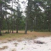 Review photo of Wharton State Forest by meghan G., July 12, 2021