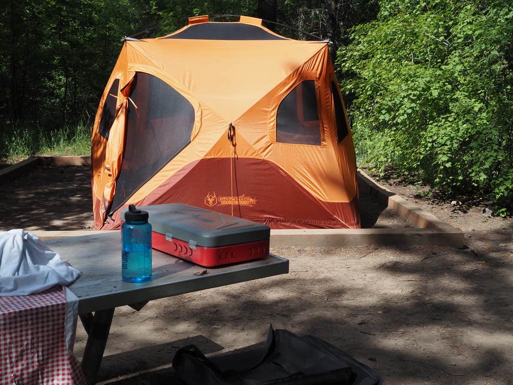 Camper submitted image from Goodenough Creek Campground - 5