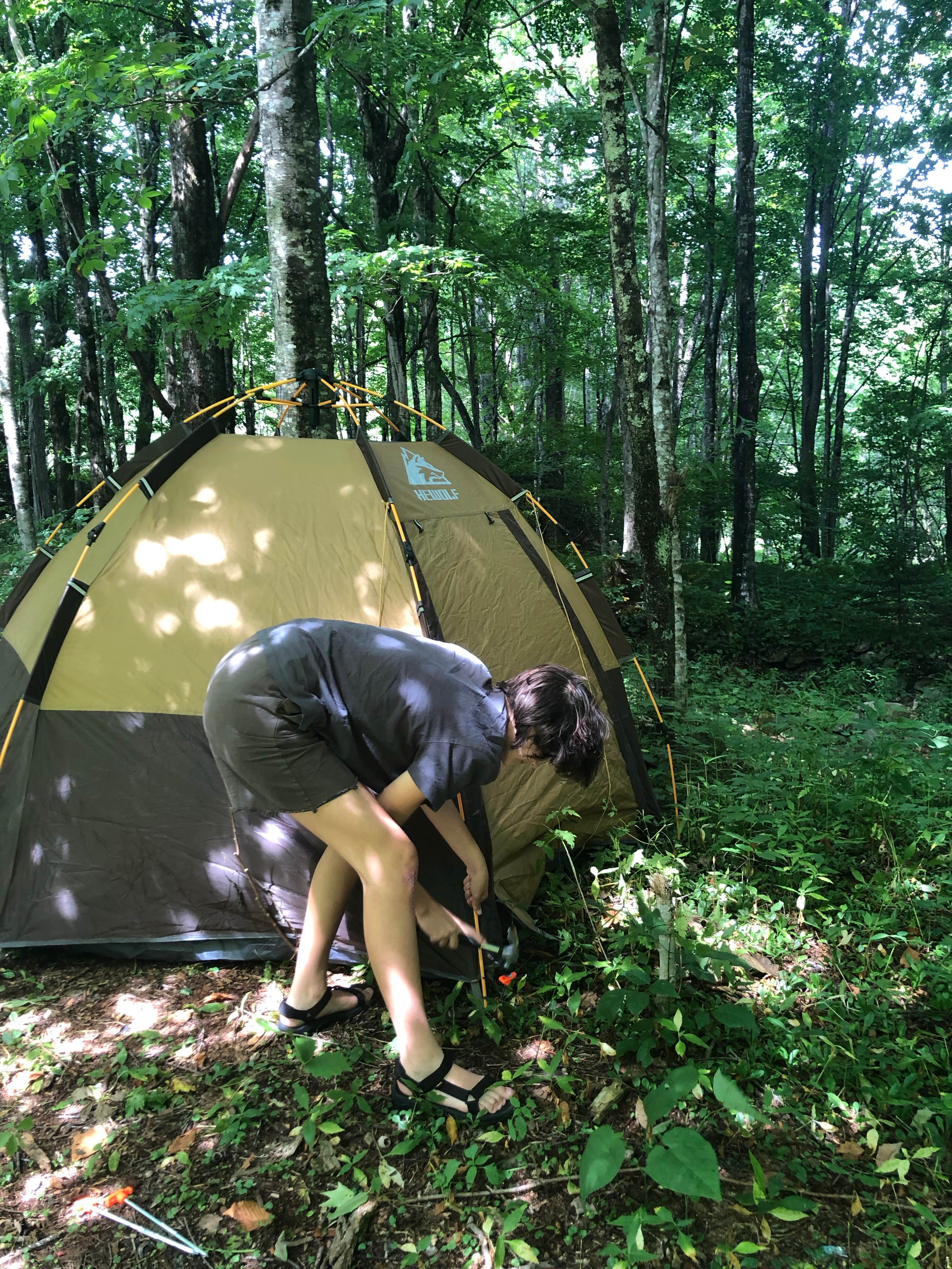 nilda's photo at Grandfather Campground near Boone, NC