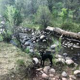 Review photo of El Rito Campground Group Shelter — Carson National Forest by Jessica O., June 14, 2018