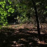Review photo of Richardson Park & Campground - A Lane County Park by Josh K., June 14, 2018