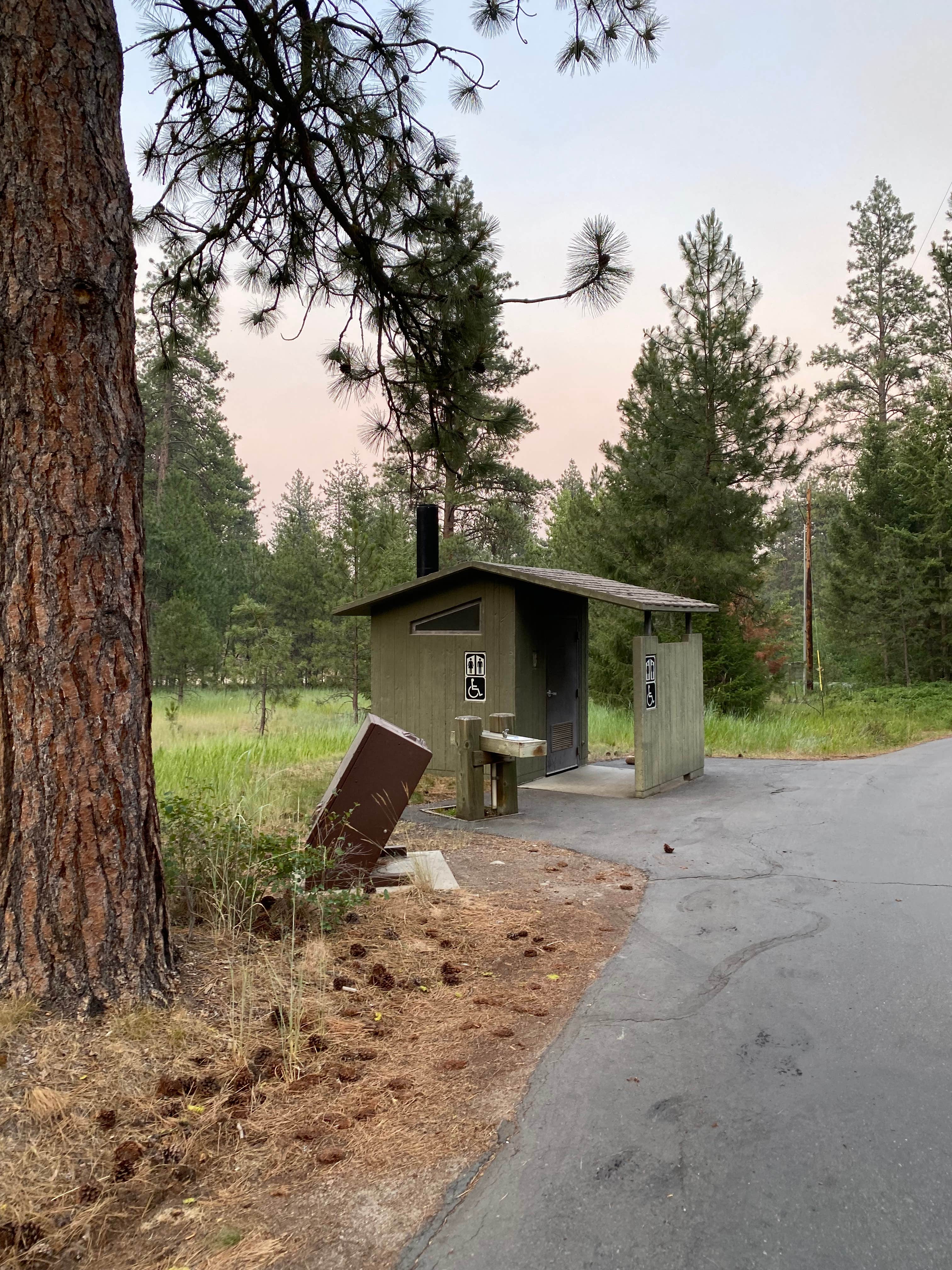 Camper submitted image from Charles Waters Campground - 5